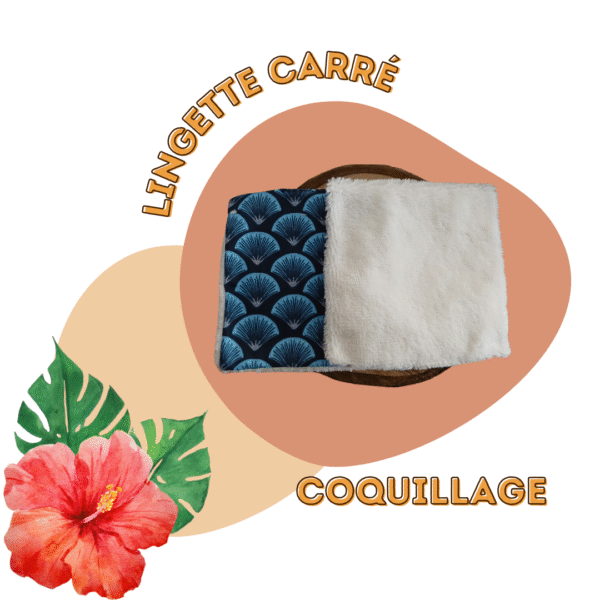 Lingettes Coquillage